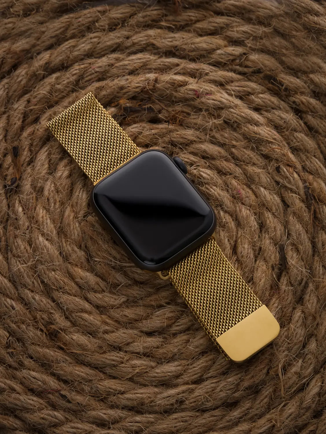 Milanese Loop